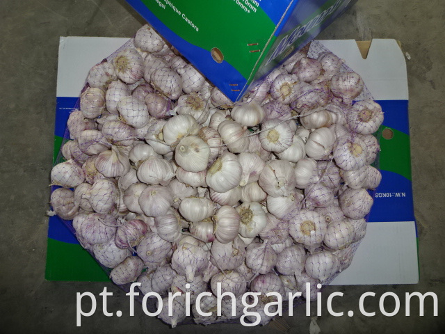 Fresh Normal White Garlic